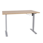 Reguliuojamo aukščio elektrinis stalas su 1 varikliu Home4You Ergo, 160x80 cm, rudas/pilkas