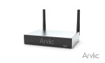 Arylic A30+