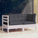 Dvivietė sodo sofa su antracito pagalvėlėmis, pušies masyvas