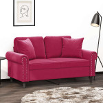 Dvivietė sofa su pagalvėlėmis, raudonojo vyno, 120cm, aksomas