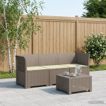 3-vietė sodo sofa su pagalvėlėmis, Rattan išvaizda 3 vietos PP