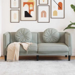 Dvivietė sofa su pagalvėlėmis, šviesiai pilkos spalvos, aksomas