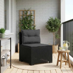1-vietė sodo sofa su pagalvėlėmis, Rattan išvaizda PP Antracito
