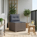 1-vietė sodo sofa su pagalvėlėmis, Rattan išvaizda PP