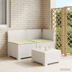 2-vietė sodo sofa su pagalvėlėmis, Rattan išvaizda 2 vietos PP