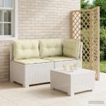 2-vietė sodo sofa su pagalvėlėmis, Rattan išvaizda 2 vietos PP