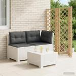 2-vietė sodo sofa su pagalvėlėmis, Rattan išvaizda 2 vietos PP