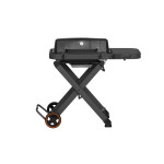 Dujinė kepsninė Mustang Fold, 113x57x96 cm, juoda