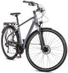 Dviratis Romet Wagant 10 2025 graphite-dark gold-23" / XL