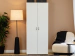 Spinta BASIC 2D