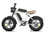 Dviratis 20" elektrinis Engwe M20 dviguba baterija baltas