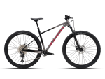 Dviratis 29" POLYGON XTRADA 6 pilka/juoda  - m