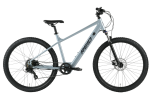Dviratis 29   LETS MTB grey reid  - m