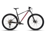Dviratis 29" POLYGON XTRADA 6 pilka/juoda  - s