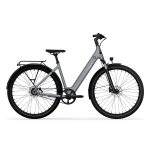 Dviratis 28" elektrinis Tenways CGO800S 374Wh unisex pilkas matinis 48cm one size