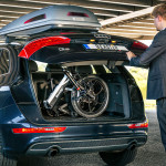 El. Dviratis BEASTER, BS95