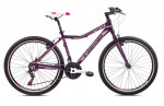 Kalnų dviratis Capriolo MTB Attack L, 26", violetinis/rožinis