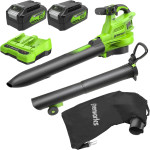 Akumuliatorinis lapų siurblys-pūstuvas Greenworks BL48L421-01