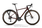 Dviratis Raymon Territ Pro Street 2026 maroonbrown-brick-L