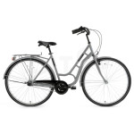 Miesto dviratis Bisan Ambiance Grey/Black (ratų dydis: 28", rėmo dydis: 20")