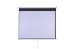 Sieninis projektoriaus ekranas Šilelis ES-2, įstrižainė: 254 cm, 16:9