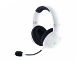 Razer RZ04-03470300-R3M1