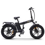 Elektrinis dviratis SKYJET 20 Nitro Pro juodas