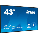 iiyama