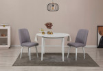 Išplečiamas valgomojo stalo ir kėdžių rinkinys (3 vienetai) Vina 0701 - White, Grey