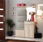 Prieškambario komplektas Armario VI, rudas