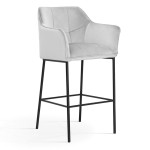 Baro kėdė Wood Garden Boston, pilka